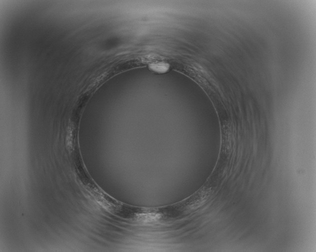 X0000071780266200607150102