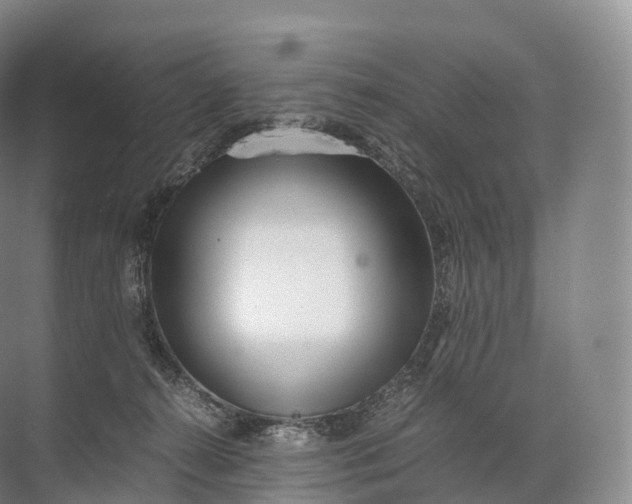 X0000071780272200607150102