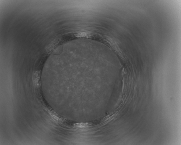 X0000071780273200607150103