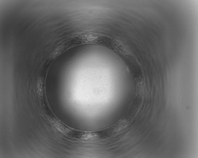 X0000071780274200607150103