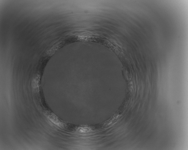 X0000071780275200607150103