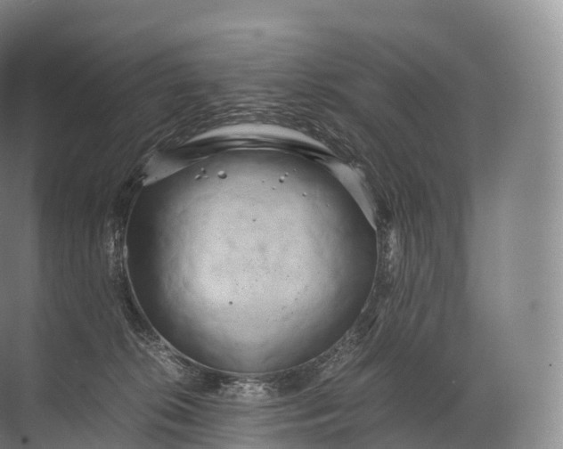 X0000071780276200607150103