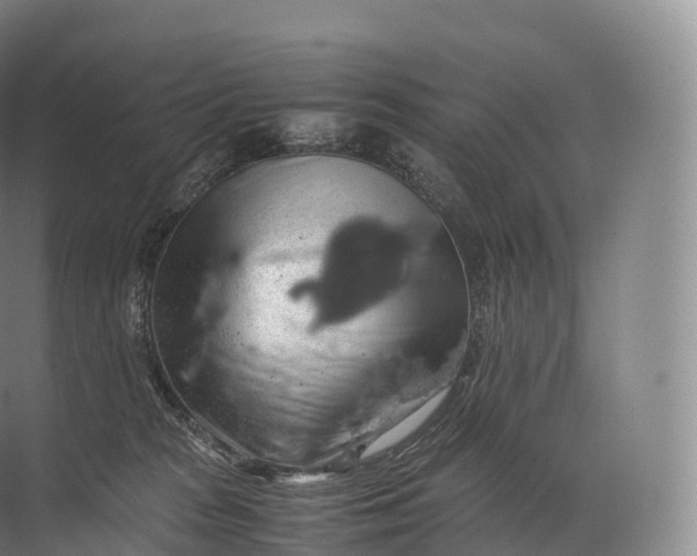 X0000071780277200607150103