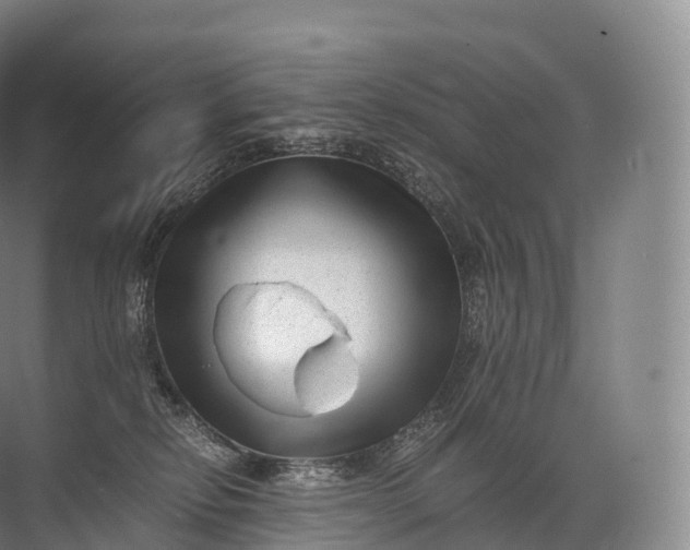 X0000071780278200607150103