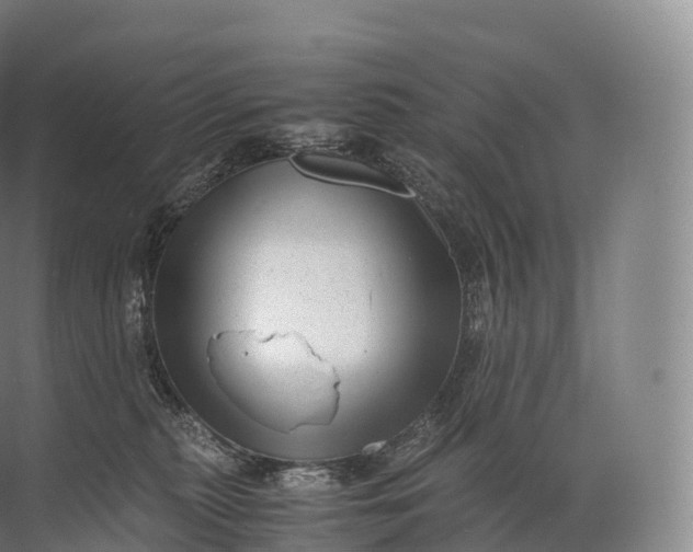 X0000071780279200607150103