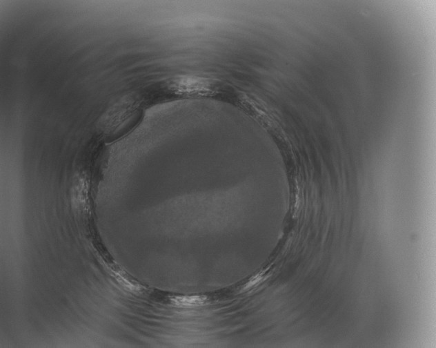 X0000071780281200607150103