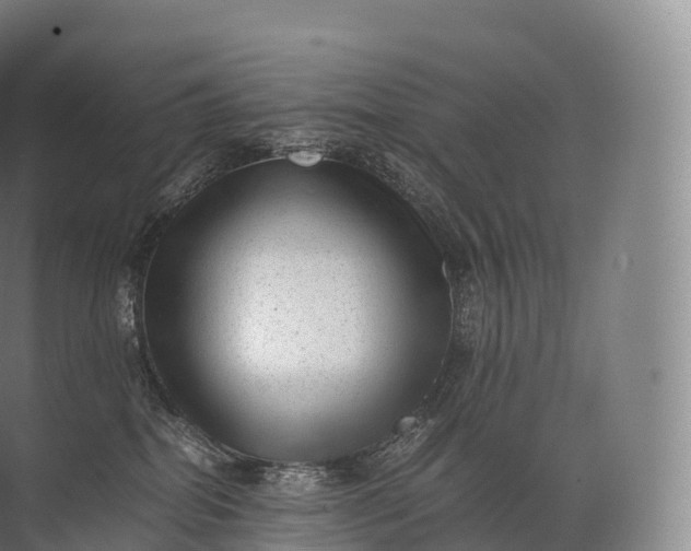 X0000071780282200607150103