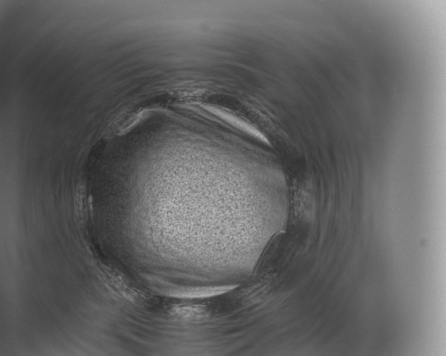 X0000071780283200607150103