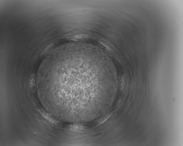 X0000071780284200607150103