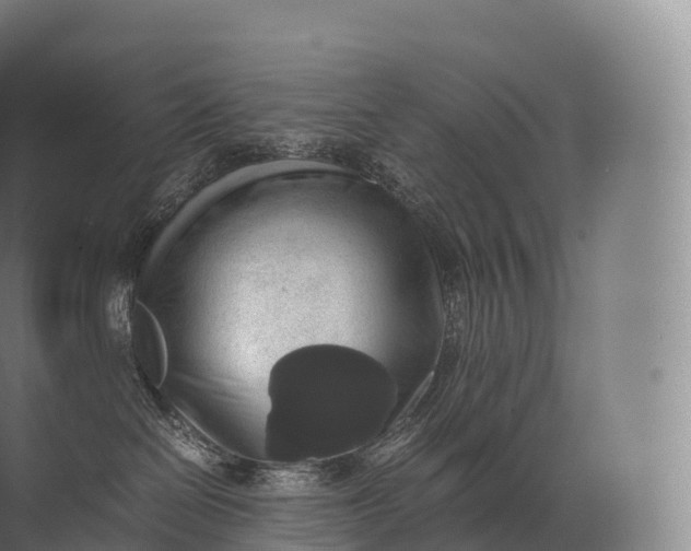 X0000071780286200607150103