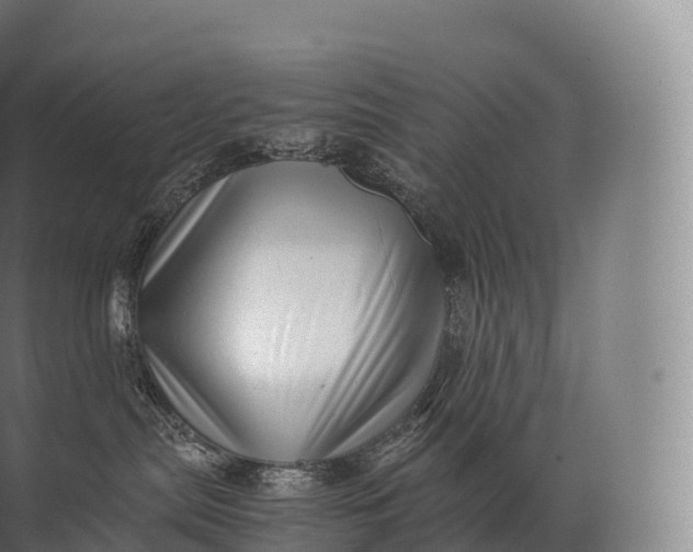 X0000071780287200607150103