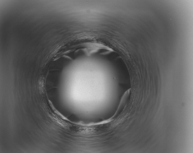 X0000071780288200607150103