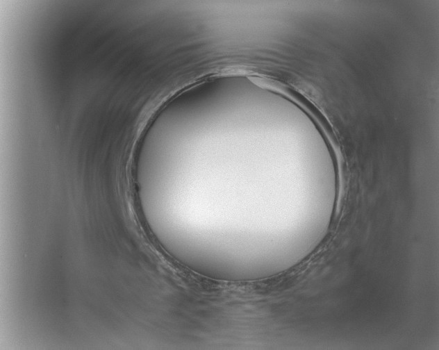 X0000071780289200607150102