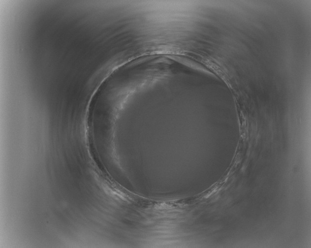 X0000071780290200607150102