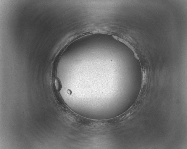 X0000071780291200607150102