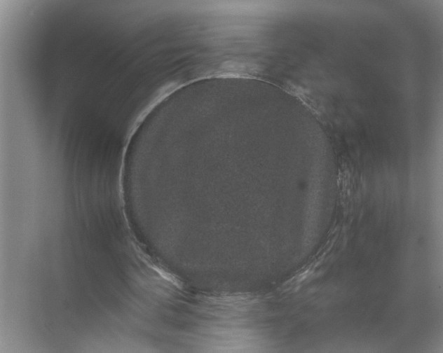 X0000071780292200607150102