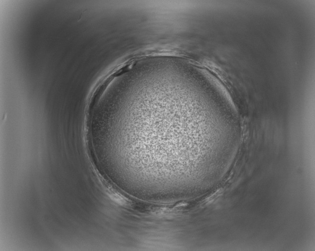 X0000071780293200607150102