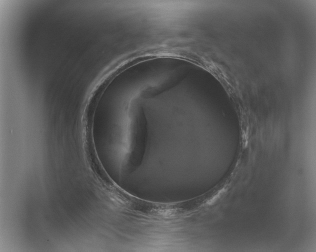 X0000071780295200607150102