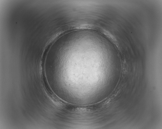 X0000071780298200607150102