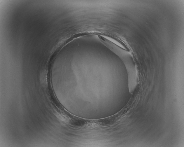 X0000071780299200607150102