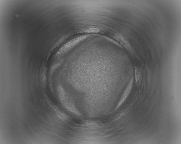 X0000071780300200607150102