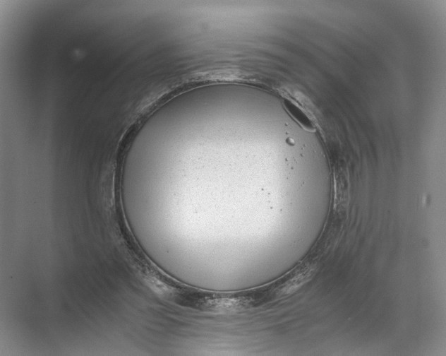 X0000071780301200607150102