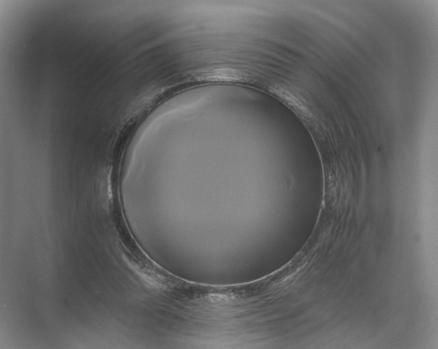 X0000071780302200607150102