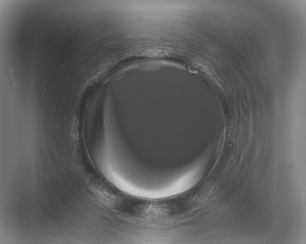 X0000071780303200607150102