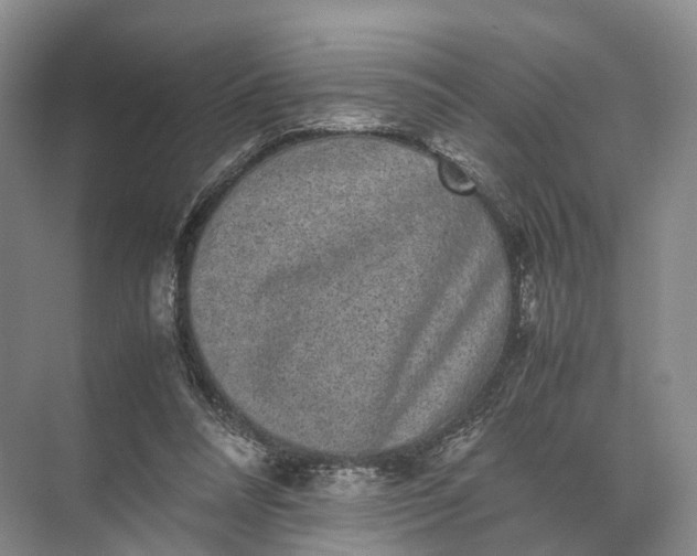 X0000071780304200607150102