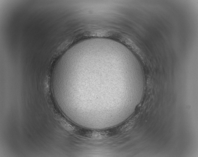 X0000071780305200607150102