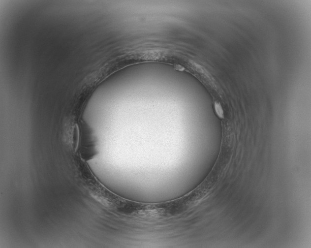 X0000071780307200607150102