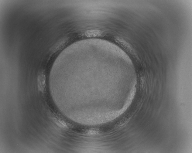 X0000071780308200607150102