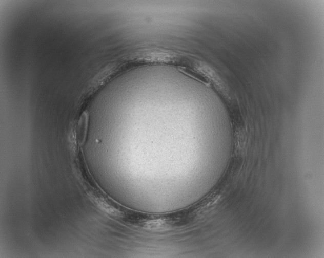 X0000071780309200607150102