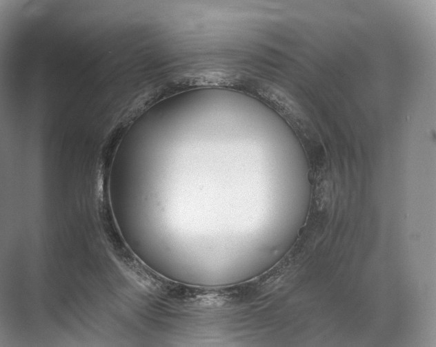 X0000071780310200607150102