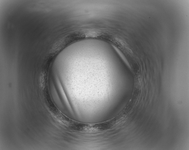 X0000071780311200607150102