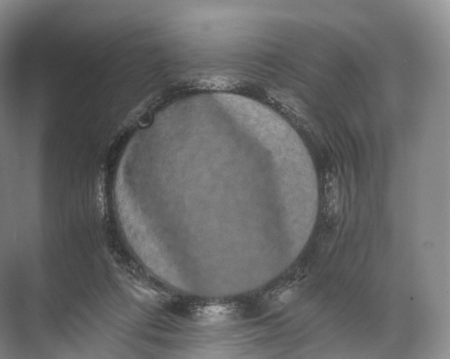 X0000071780312200607150102