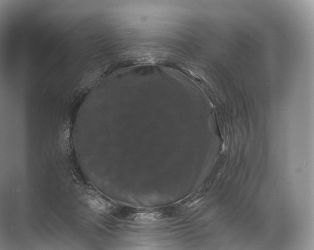 X0000071780314200607150102