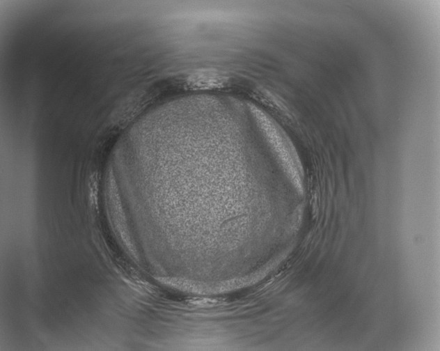 X0000071780315200607150102