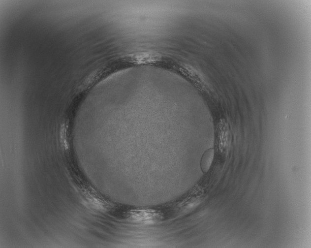 X0000071780316200607150101