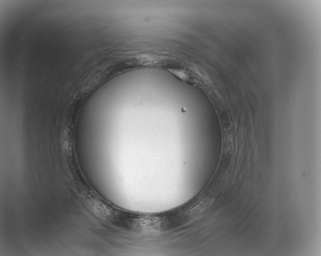 X0000071780317200607150101