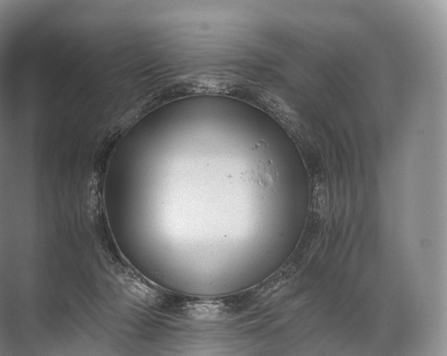 X0000071780318200607150101