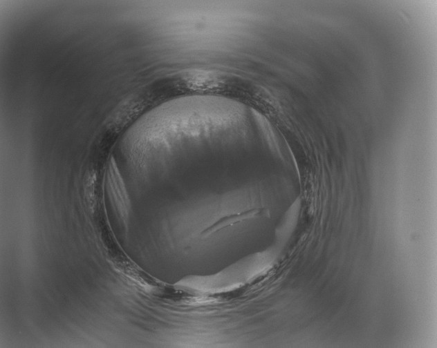 X0000071780319200607150101