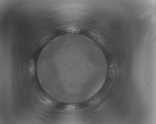 X0000071780320200607150101