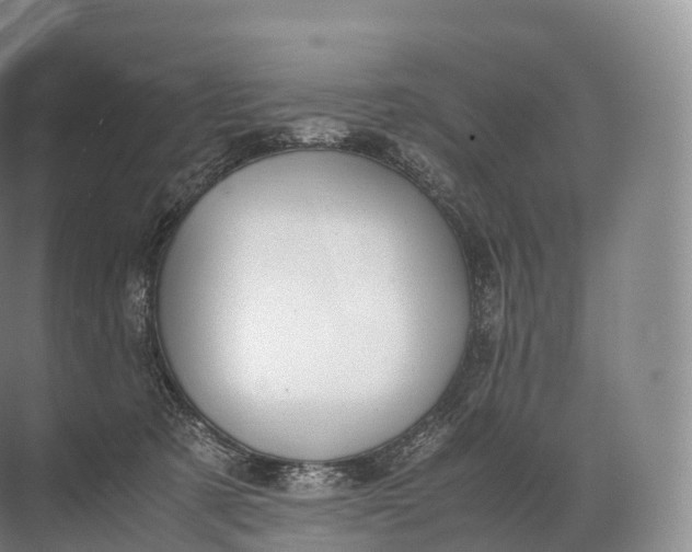 X0000071780321200607150101