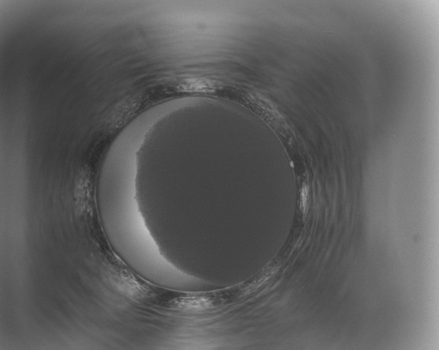 X0000071780322200607150101