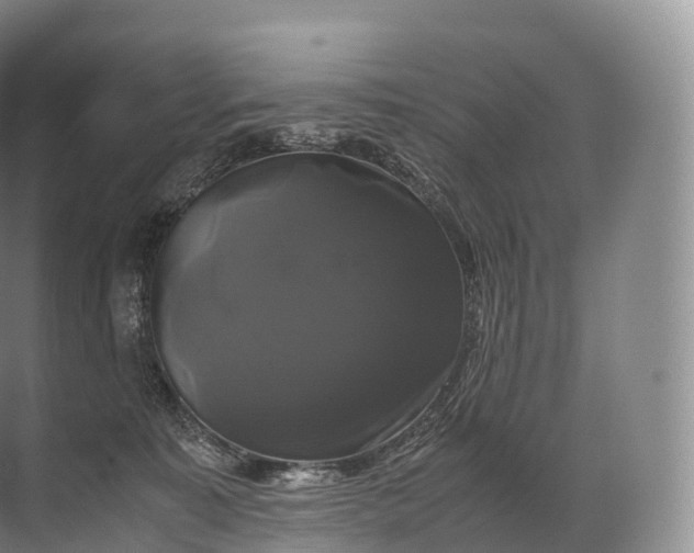 X0000071780323200607150101