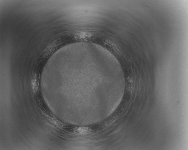 X0000071780324200607150101