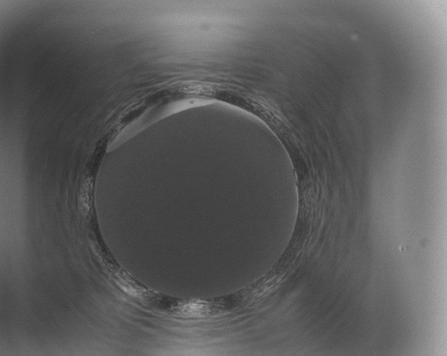 X0000071780325200607150101