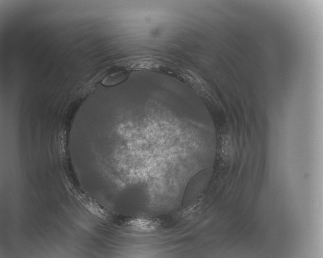 X0000071780326200607150101