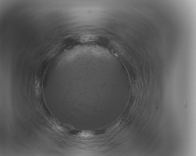 X0000071780327200607150101